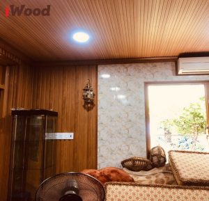 tấm ốp, tường trần iwood