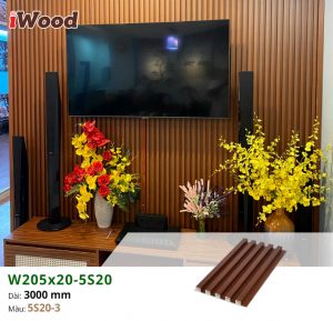 ct iWood 5S20-3