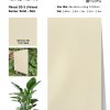 Tấm ốp đa năng than tre vân đơn sắc SS-3