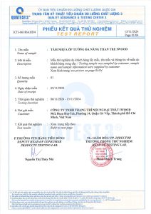 Kiểm định chất lượng Tấm Ốp Đa Năng iWood