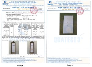 Tiêu chuẩn chất lượng tấm ốp than tre iWood