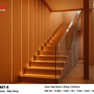 Tấm Than Tre Film Inox Xước