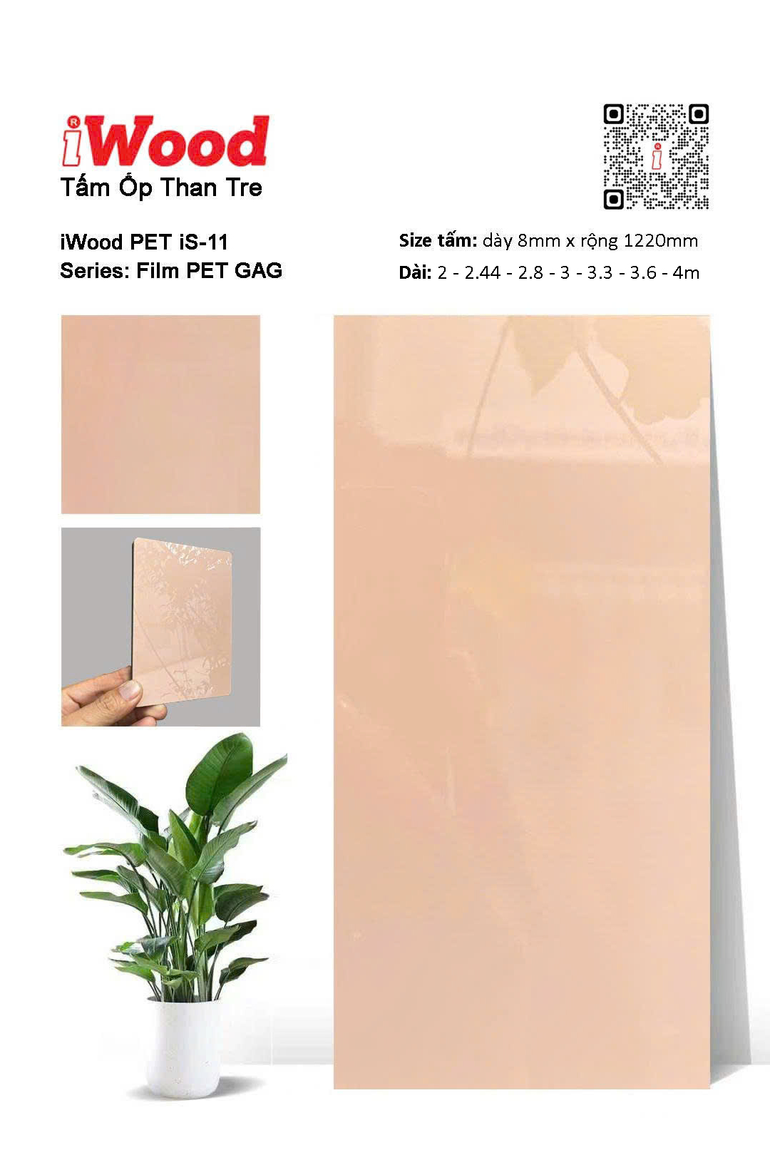 Tấm Than Tre Film Pet iS-11