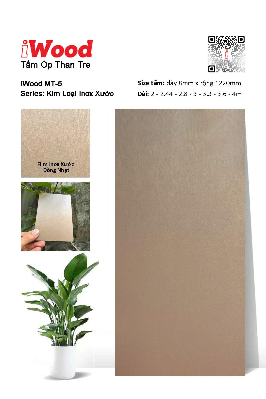 Tấm Than Tre Film Inox Xước