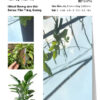 Tấm ốp than tre vân tráng gương iWood GXK