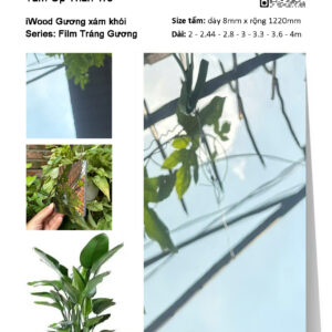 Tấm ốp than tre vân tráng gương iWood GXK