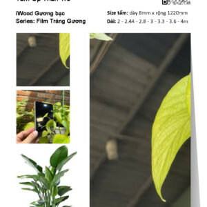 Tấm ốp than tre vân tráng gương iWood GB