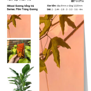 Tấm ốp than tre vân tráng gương iWood GHT